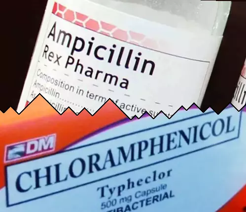 Ampicilina contra Cloranfenicol