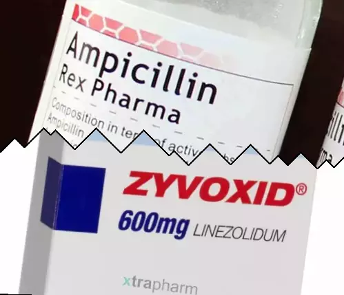 Ampicilina contra Zyvox