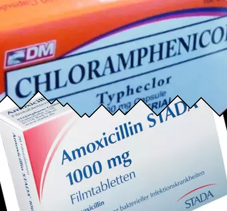 Cloranfenicol contra Amoxicilina