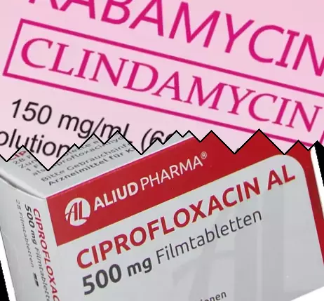 Clindamicina contra Ciprofloxacino